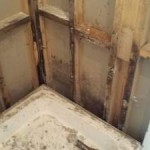 bathroom-repair-naas-damp