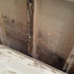 bathroom-repair-naas-rot