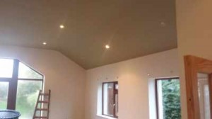 House painting Caragh, Kildare