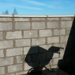 New outside wall built
