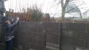 New Garden Wall - Naas