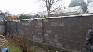 New Garden Wall - Naas